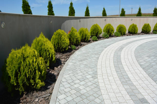 Best Driveway Paving Near Me  in Shelby, MT